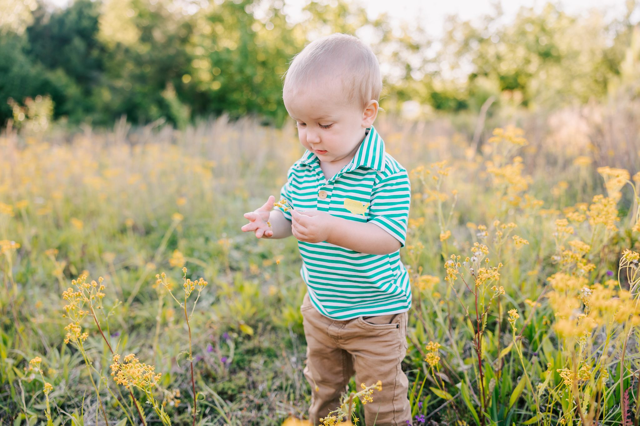 Two year old picking wildflowers during his milestone session with molly berry. Little boy attends Speech therapy in Augusta GA